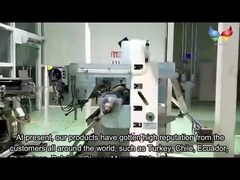 HYF PETG's Professional Production Equipment - Brückner